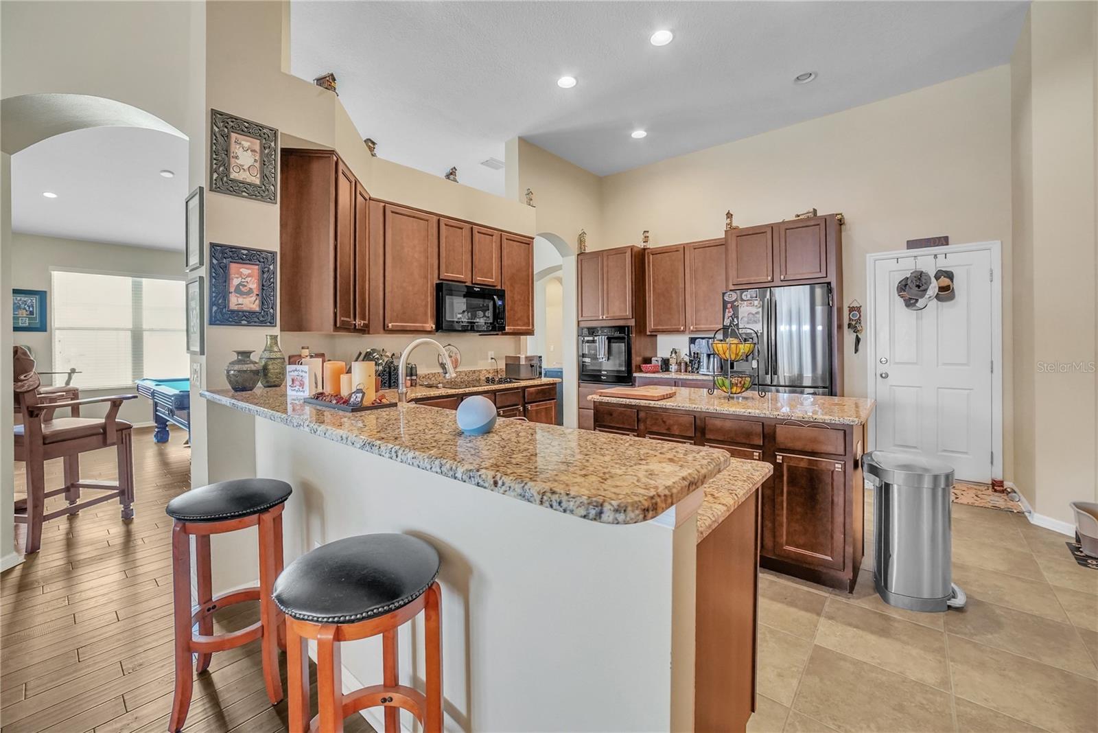 12309 LOOPBACK DR, SAN ANTONIO, FL, 33576
