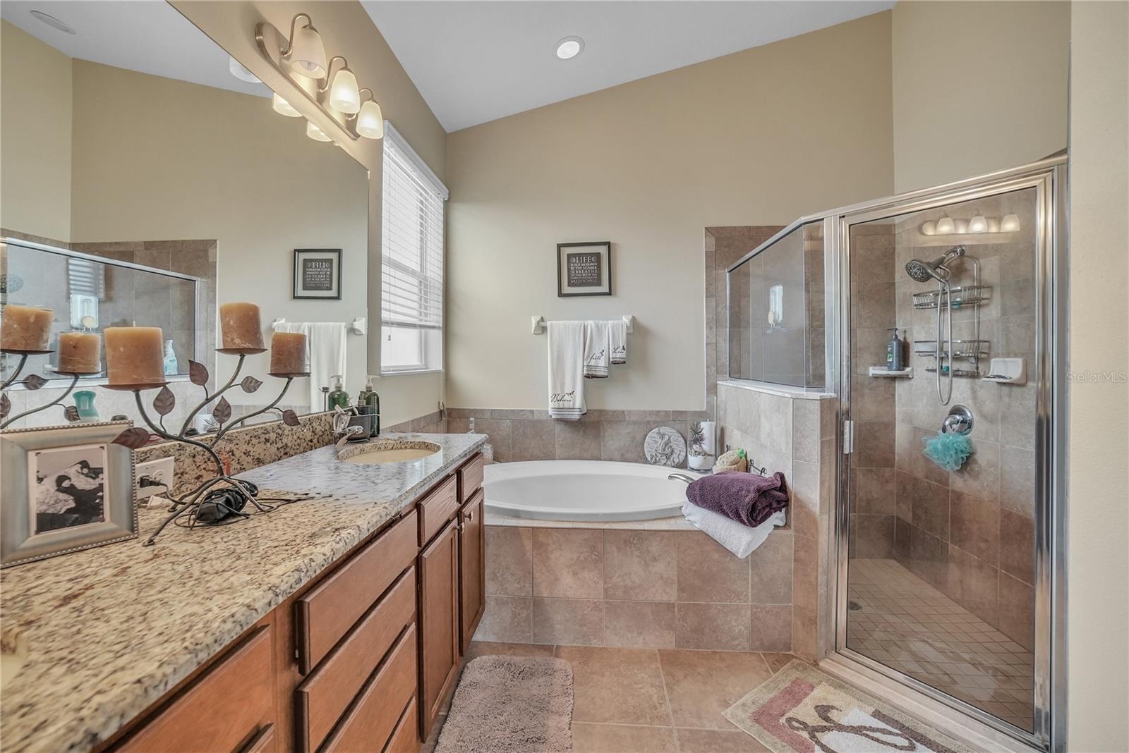 12309 LOOPBACK DR, SAN ANTONIO, FL, 33576