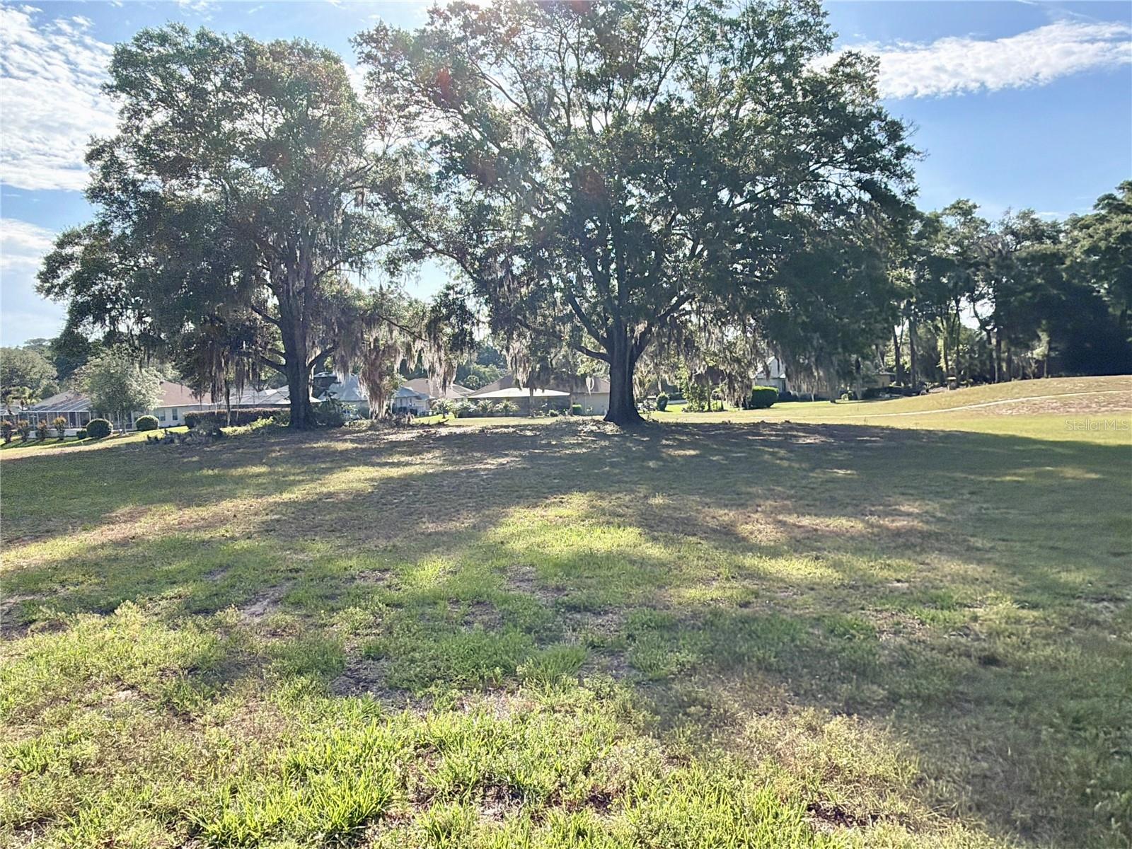 8985 SW 196TH TERRACE RD, DUNNELLON, FL, 34432
