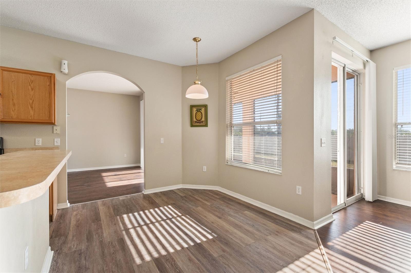 169 BIG BLACK DR, KISSIMMEE, FL, 34759