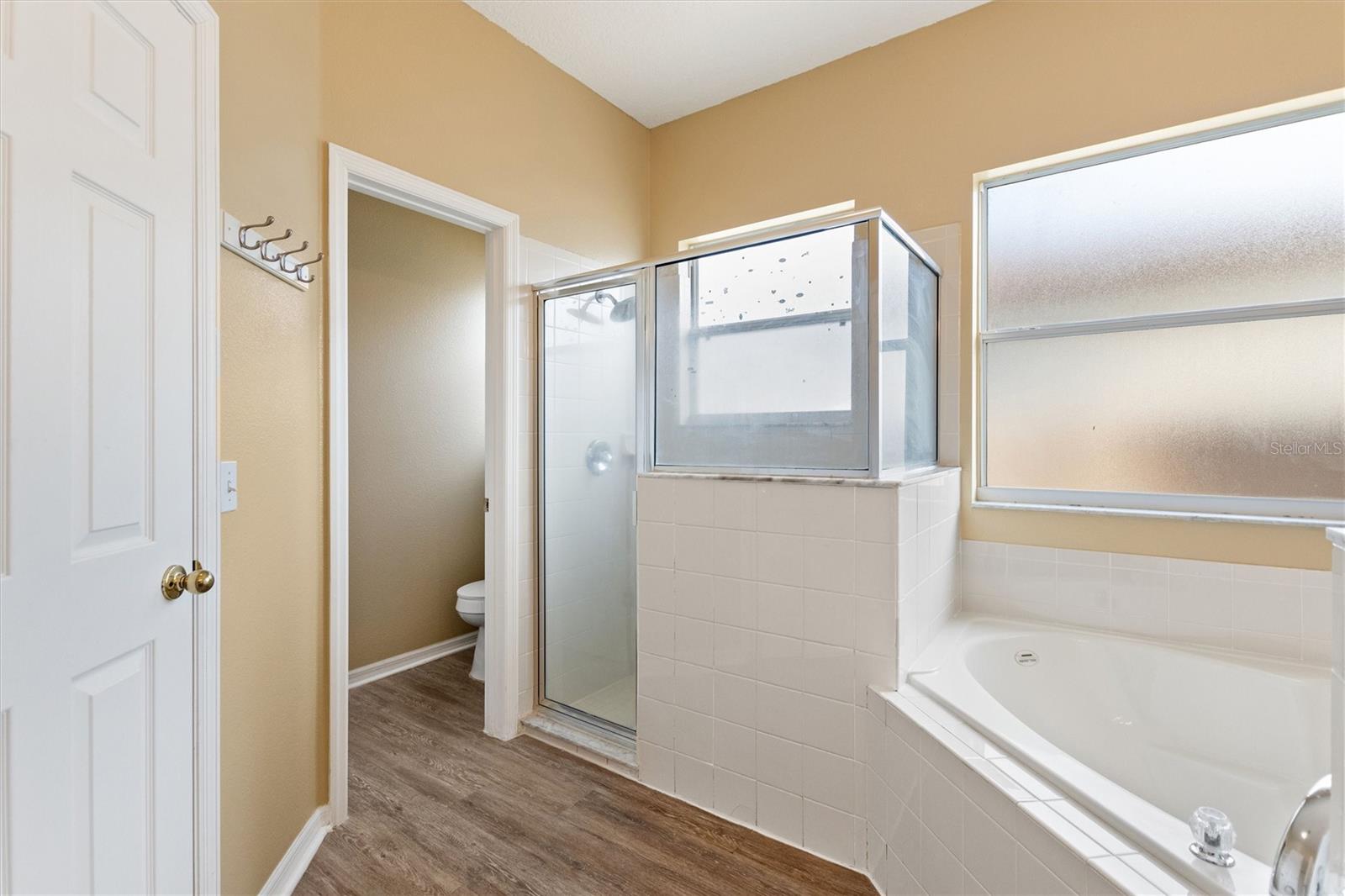 169 BIG BLACK DR, KISSIMMEE, FL, 34759