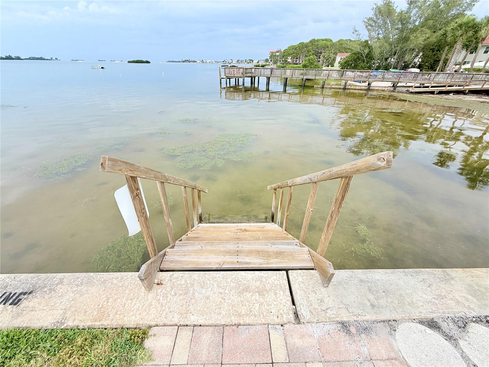 464 N PAULA DR #313, DUNEDIN, FL, 34698