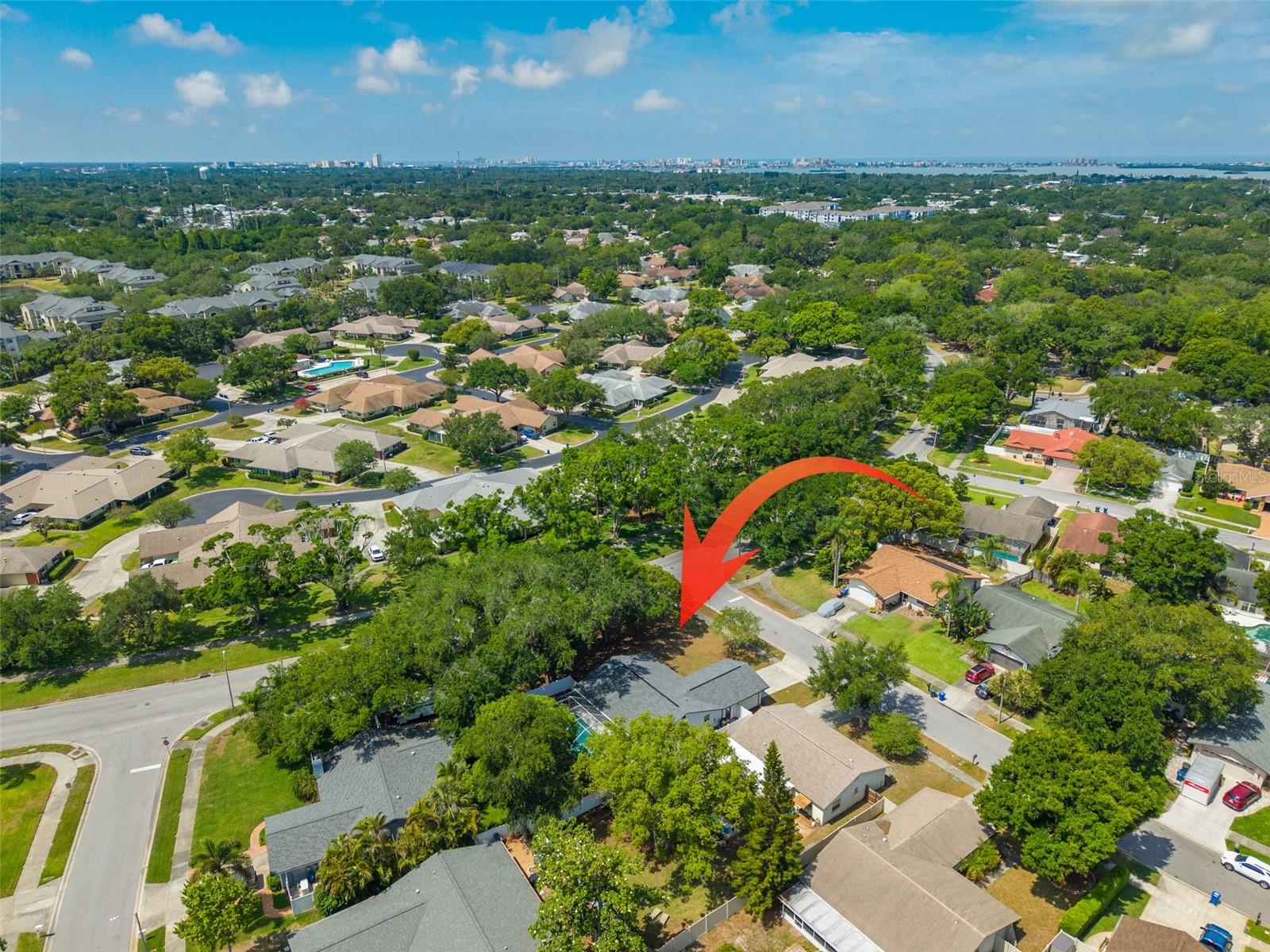 465 BELMIST CT, DUNEDIN, FL, 34698