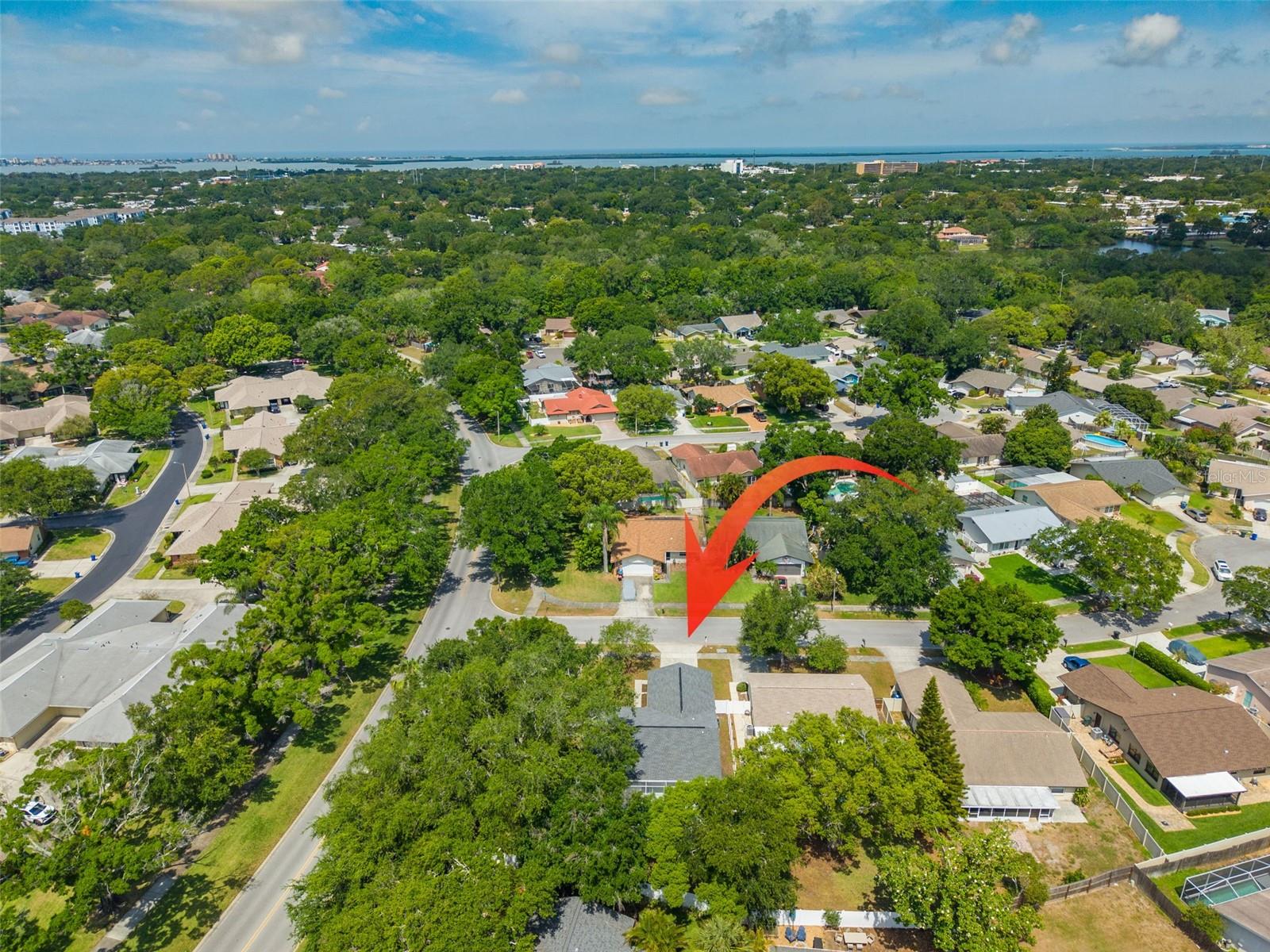465 BELMIST CT, DUNEDIN, FL, 34698