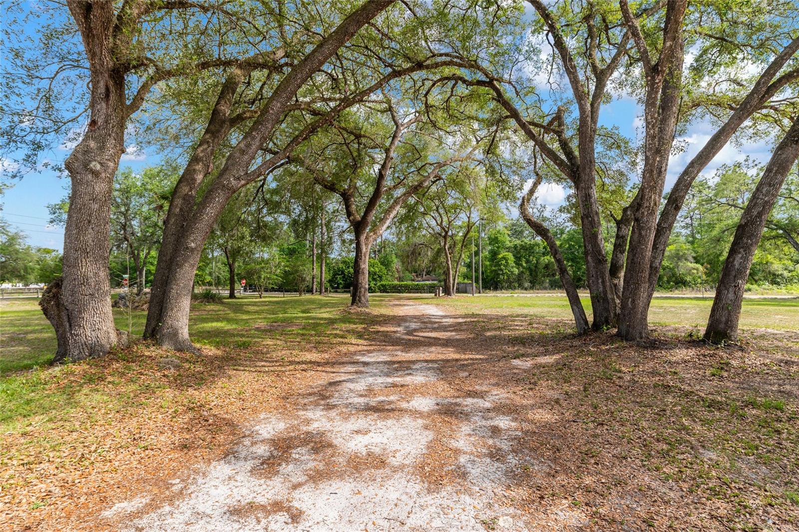 8535 SW 155TH ST, DUNNELLON, FL, 34432