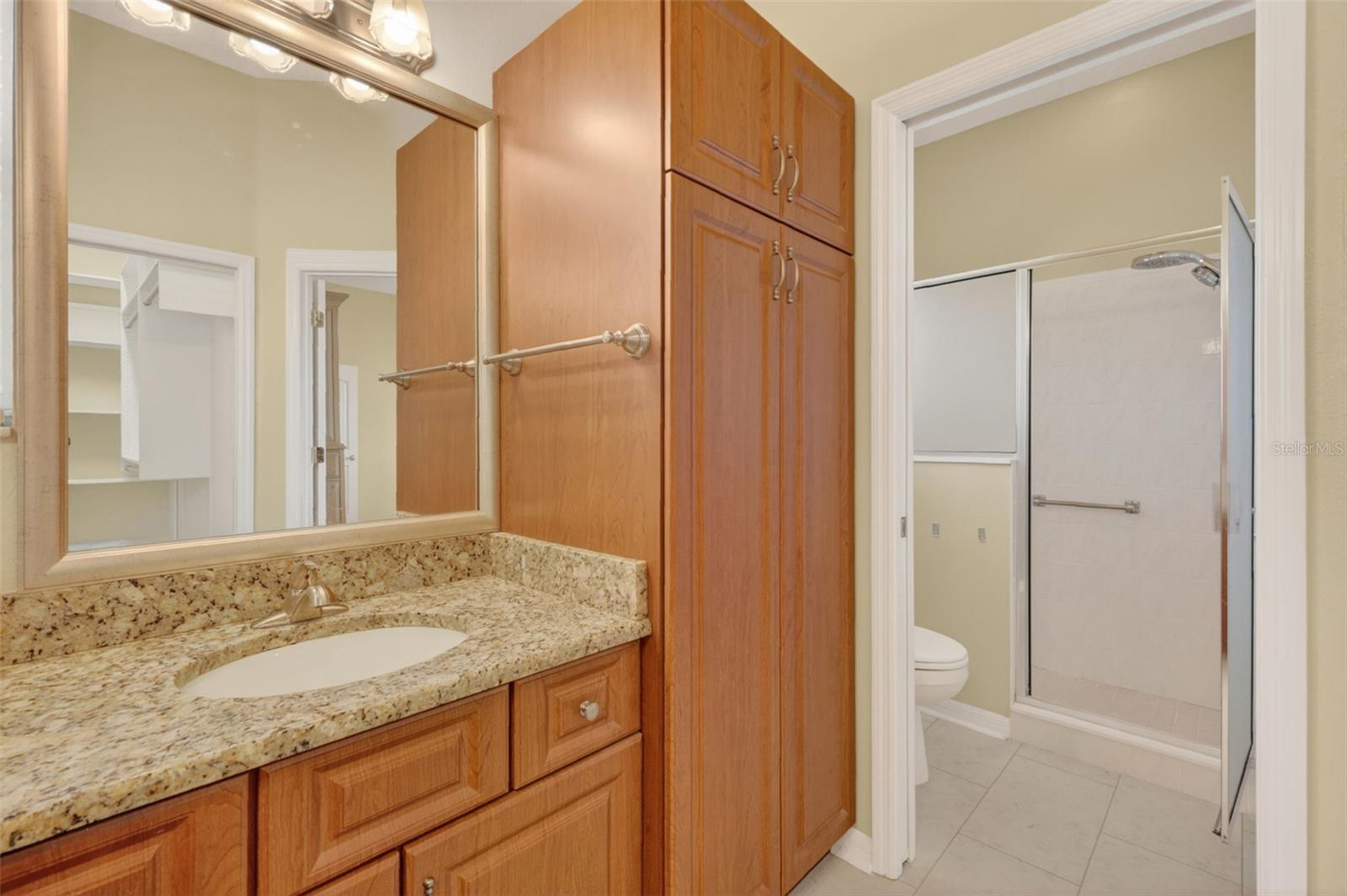 3017 BATALLY CT, THE VILLAGES, FL, 32162