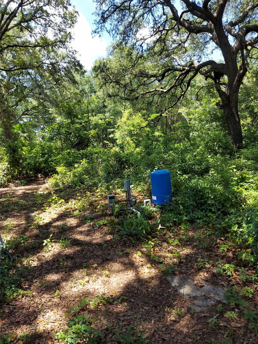 14061 SE 117TH PL, OCKLAWAHA, FL, 32179