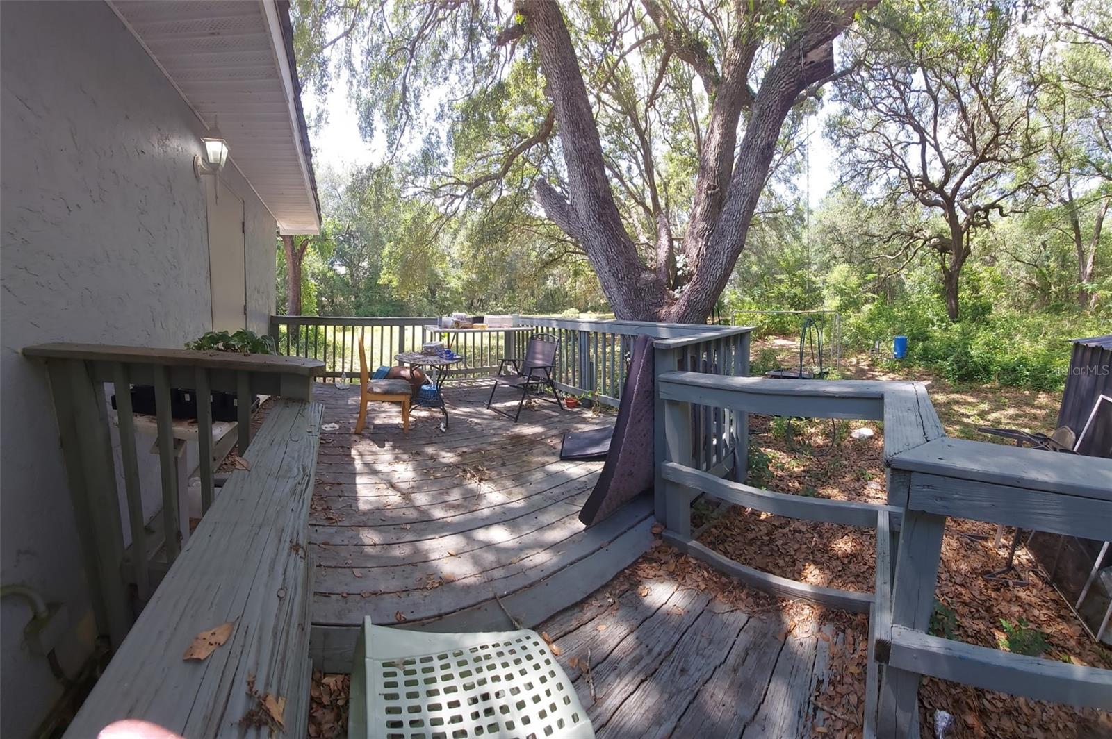 14061 SE 117TH PL, OCKLAWAHA, FL, 32179