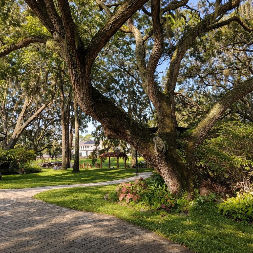 11102 SHADY OAK ST, ORLANDO, FL, 32832