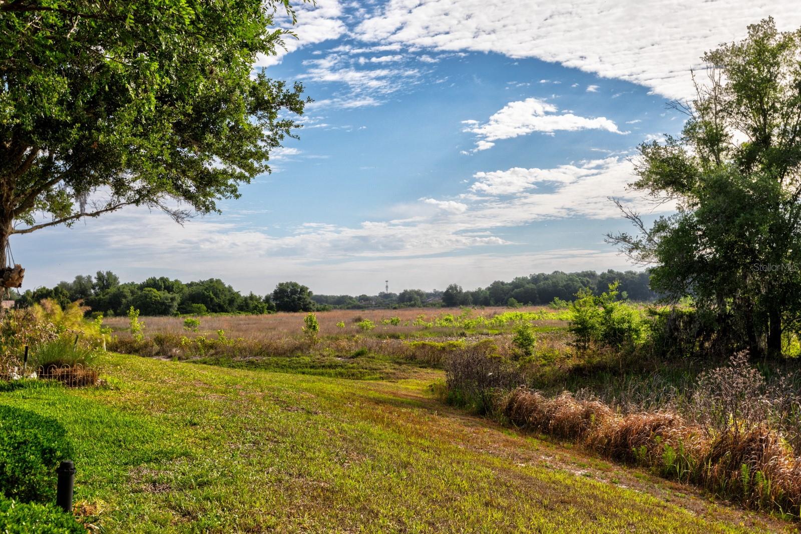 5739 ILLUMINATION LN, LEESBURG, FL, 34748