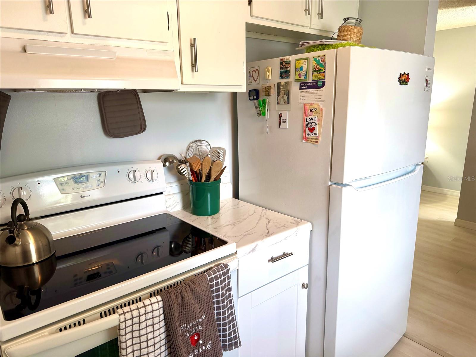 1026 83RD TER N #1026, ST PETERSBURG, FL, 33702