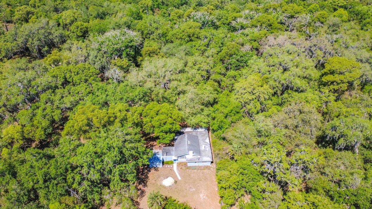 3508 ROUSE RD, ORLANDO, FL, 32817
