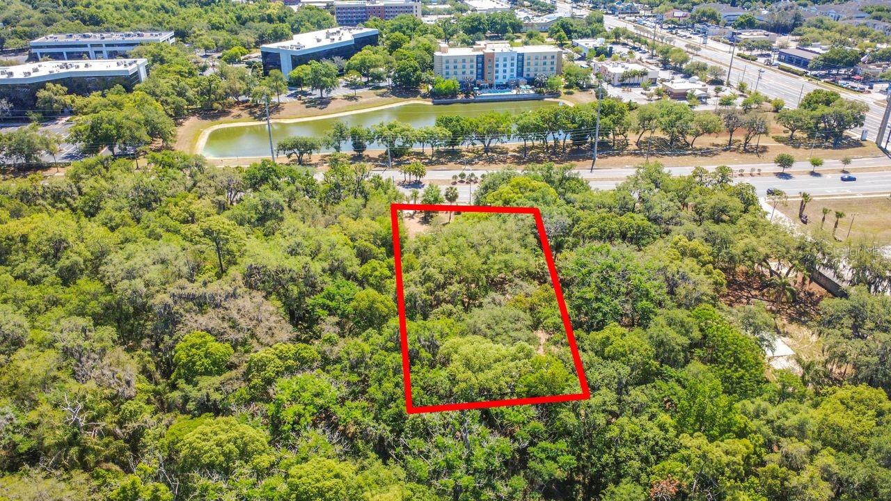3508 ROUSE RD, ORLANDO, FL, 32817