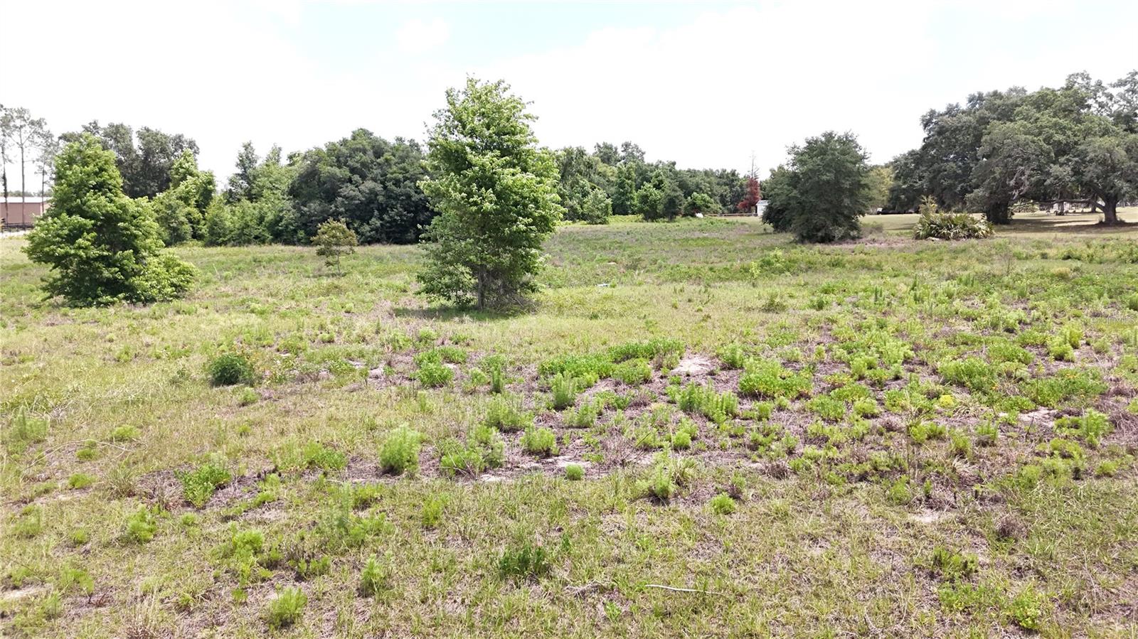 SONOMA RIDGE RD, CLERMONT, FL, 34715