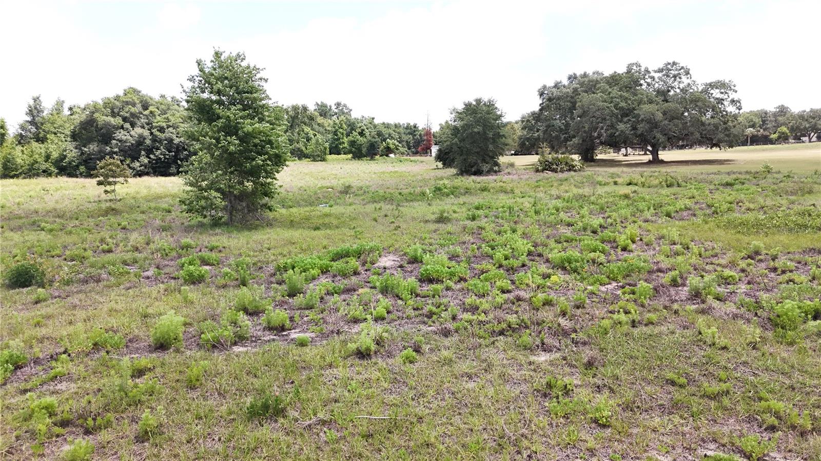 SONOMA RIDGE RD, CLERMONT, FL, 34715