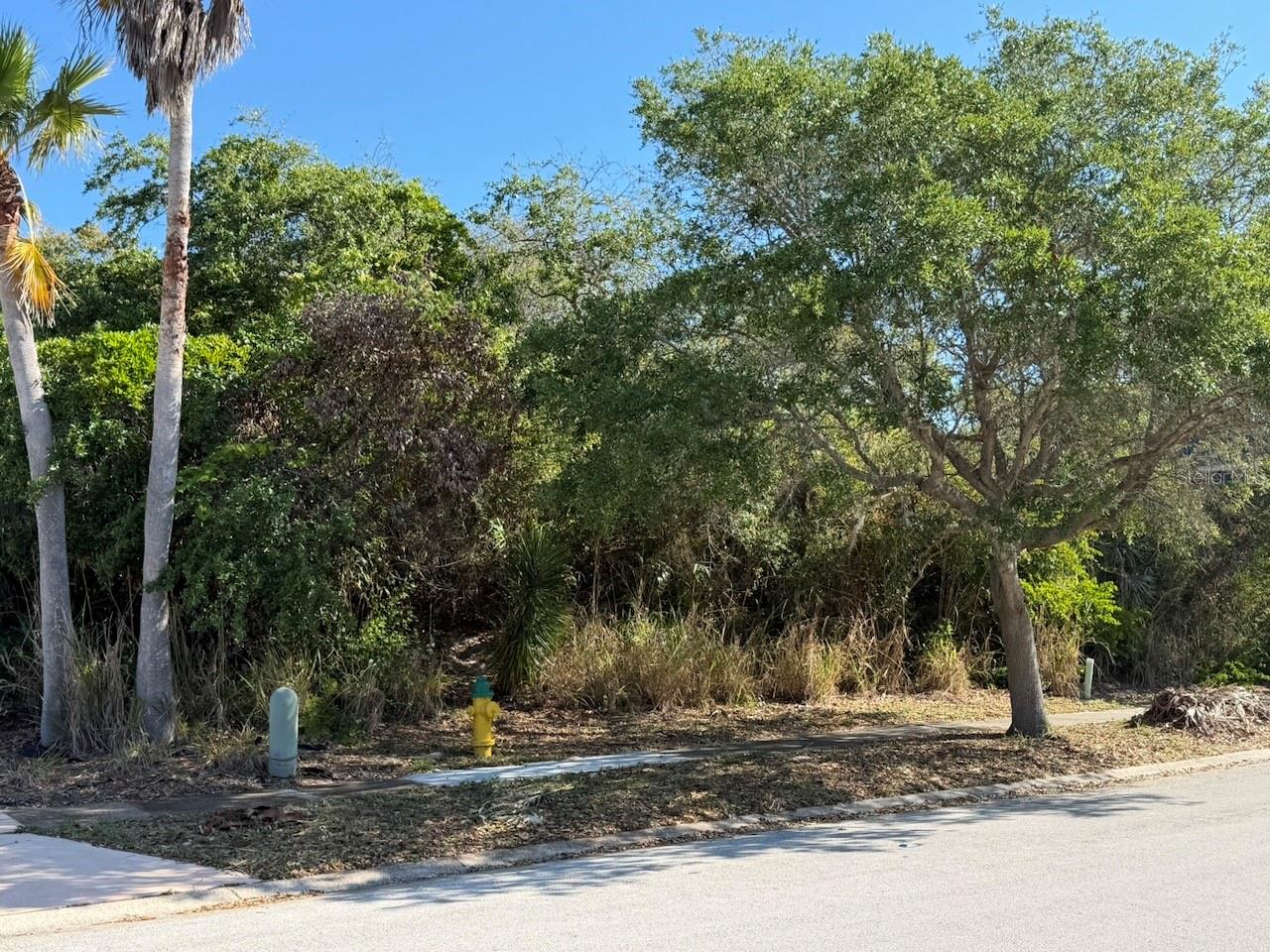 70 OCEAN WAY DR, PONCE INLET, FL, 32127