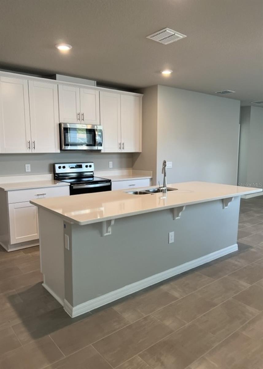 953 RIVERS CROSSING ST, CLERMONT, FL, 34714
