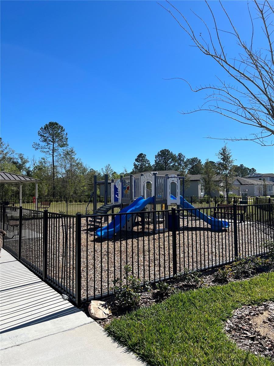 953 RIVERS CROSSING ST, CLERMONT, FL, 34714