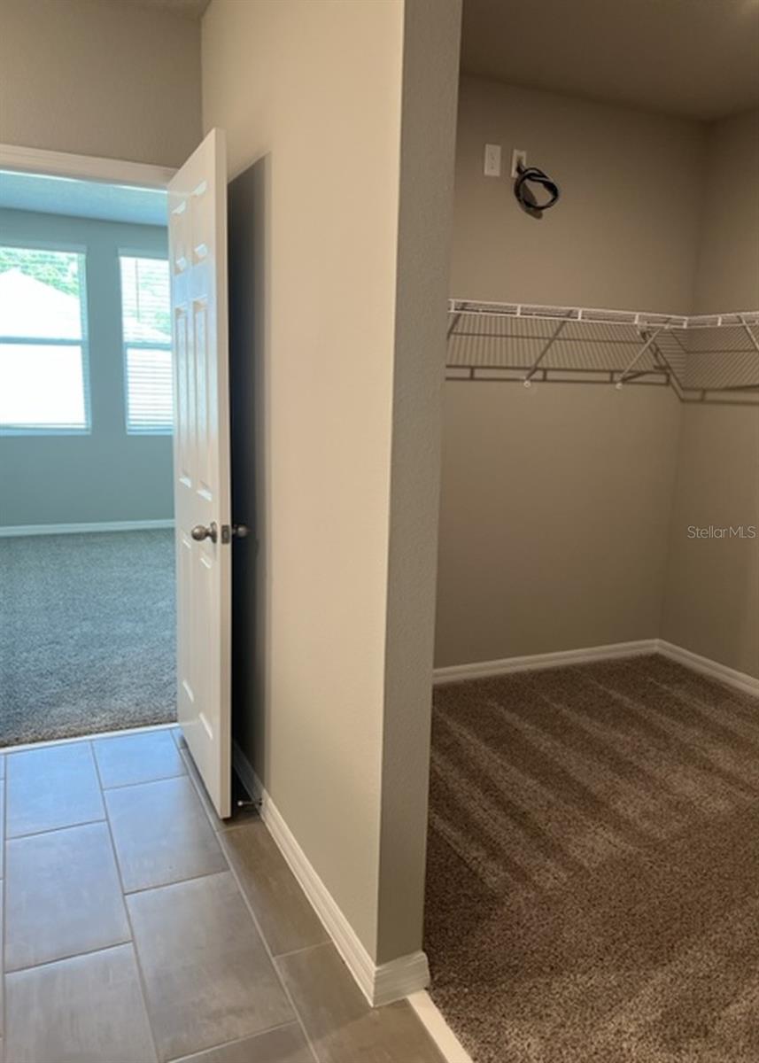 953 RIVERS CROSSING ST, CLERMONT, FL, 34714