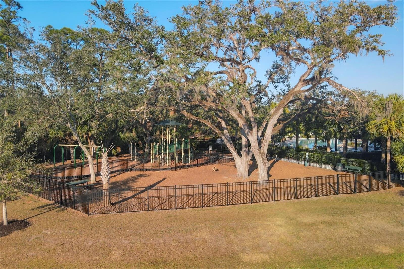 6634 CALYPSO CORAL LN, SARASOTA, FL, 34240