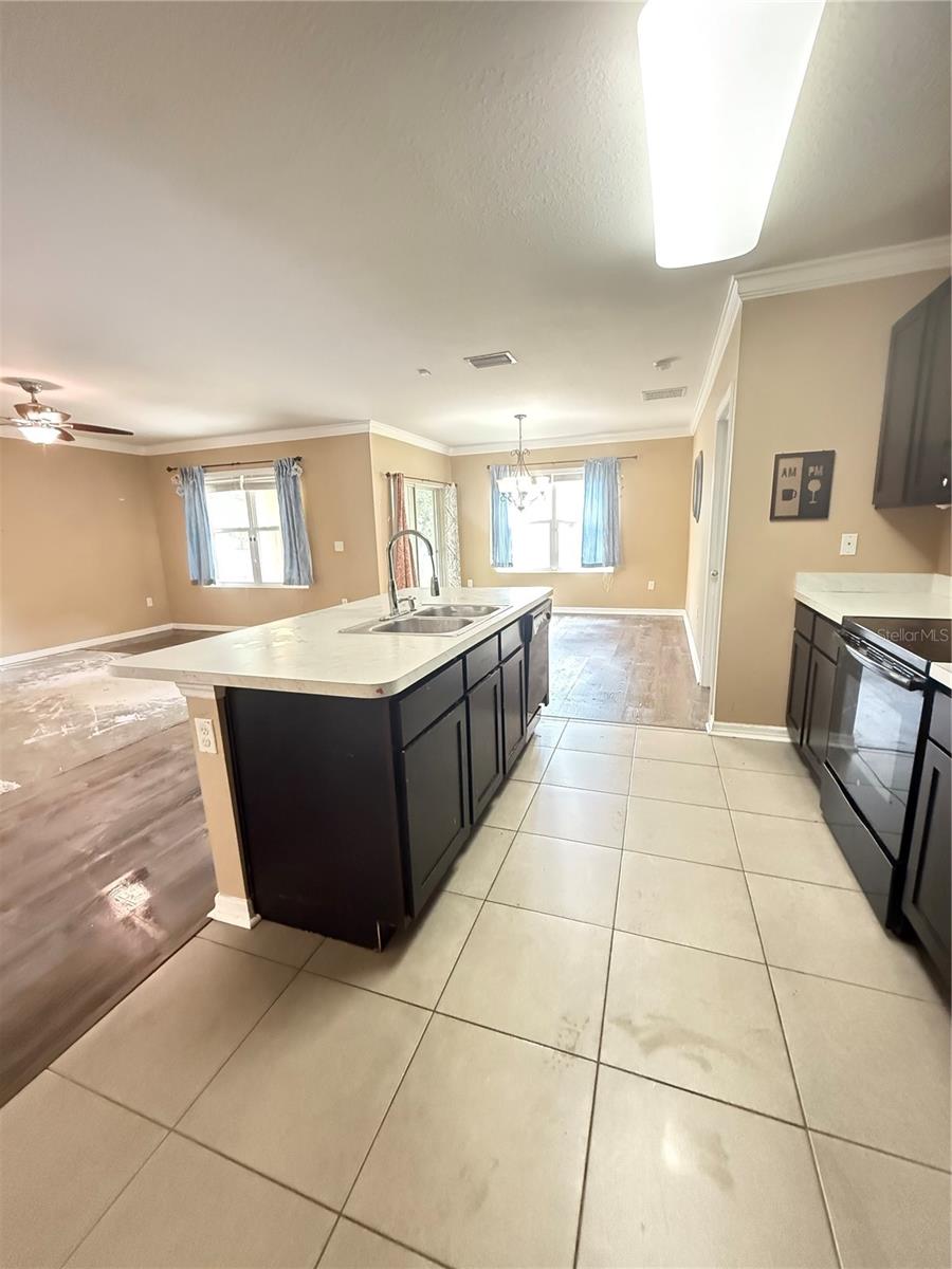 3838 CROSSLINE DR, SPRING HILL, FL, 34609