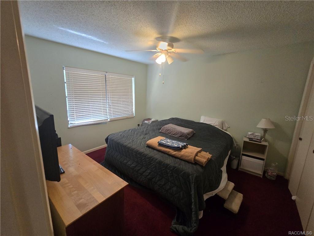 1 HOLLY CT, HOMOSASSA, FL, 34446