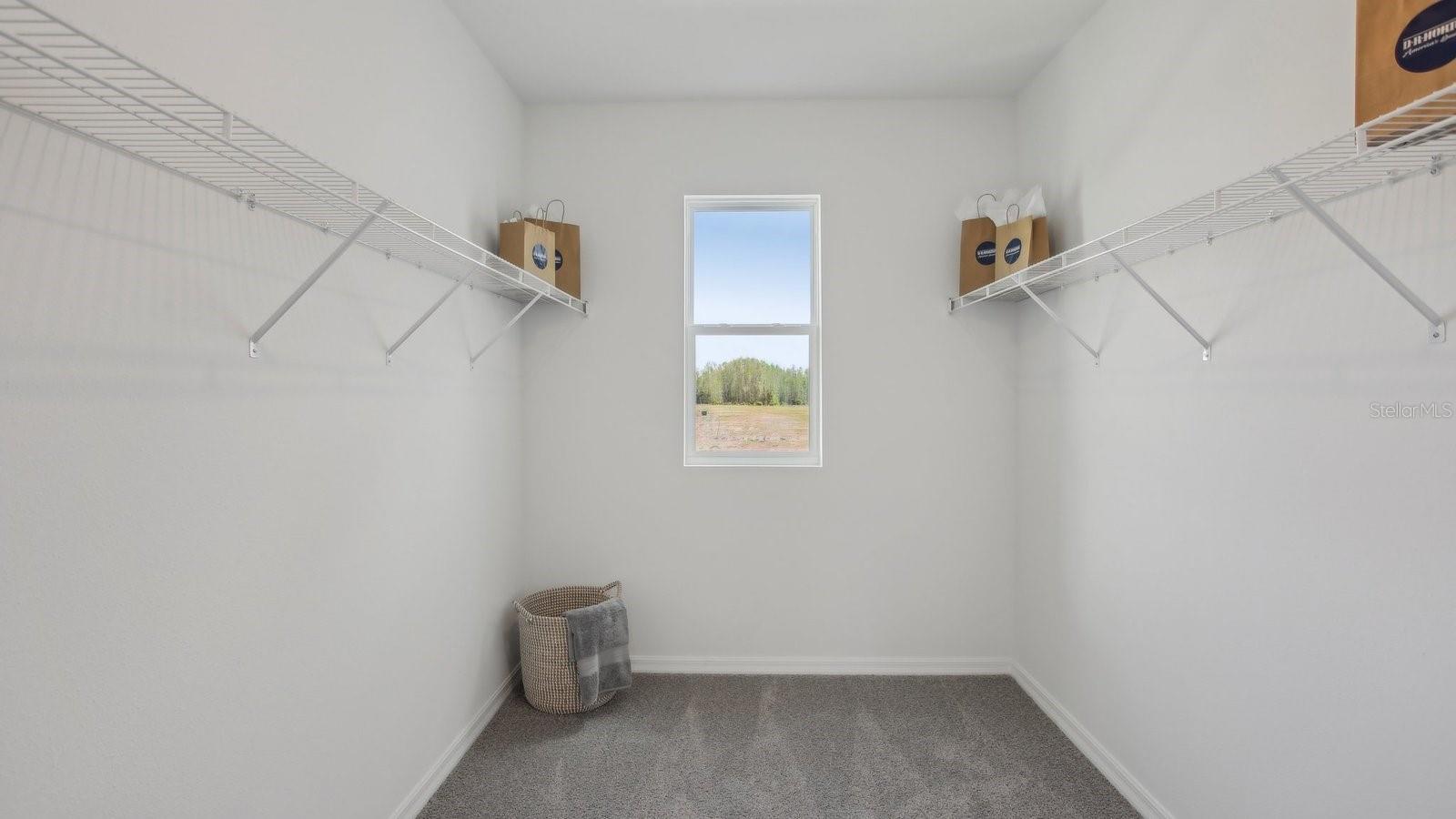 2471 BENDER DR, ZEPHYRHILLS, FL, 33541