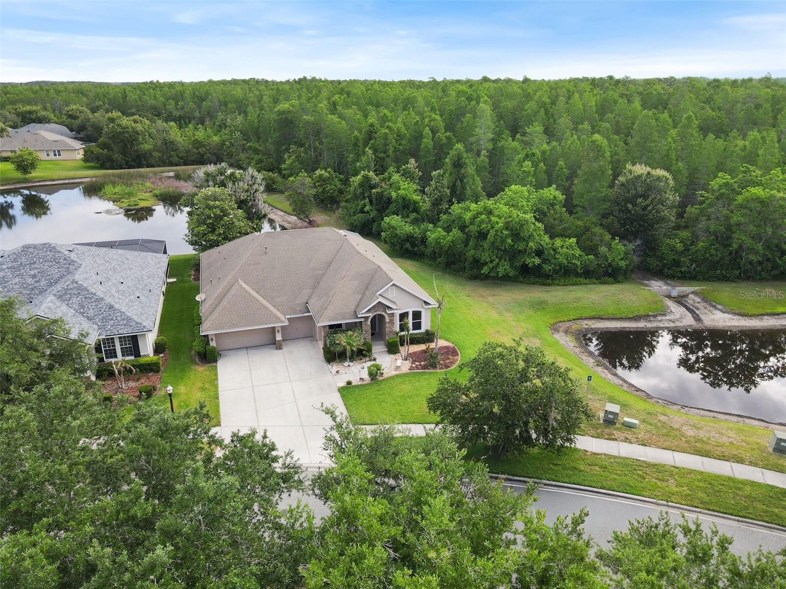 8434 WESTERLAND DR, LAND O LAKES, FL, 34637