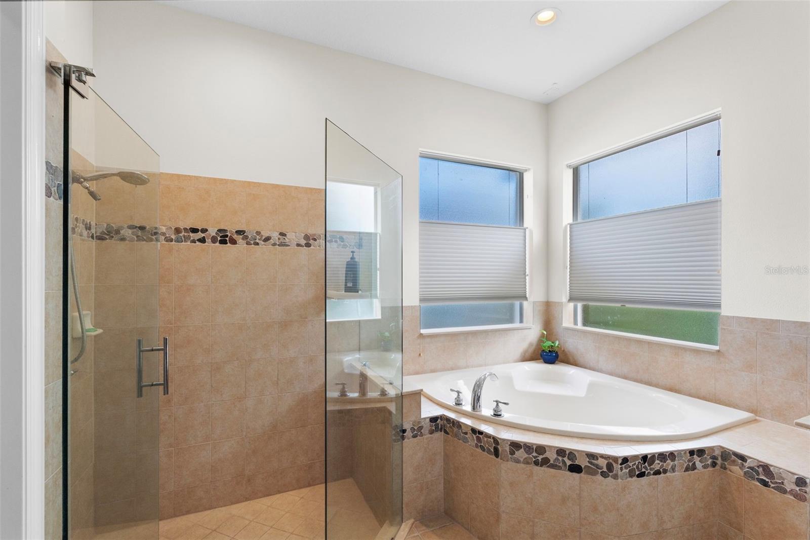 8434 WESTERLAND DR, LAND O LAKES, FL, 34637