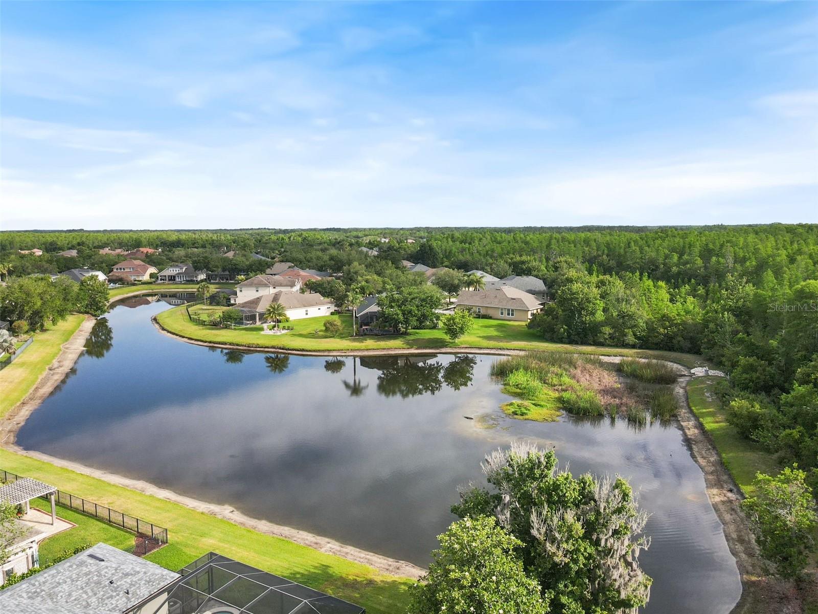 8434 WESTERLAND DR, LAND O LAKES, FL, 34637