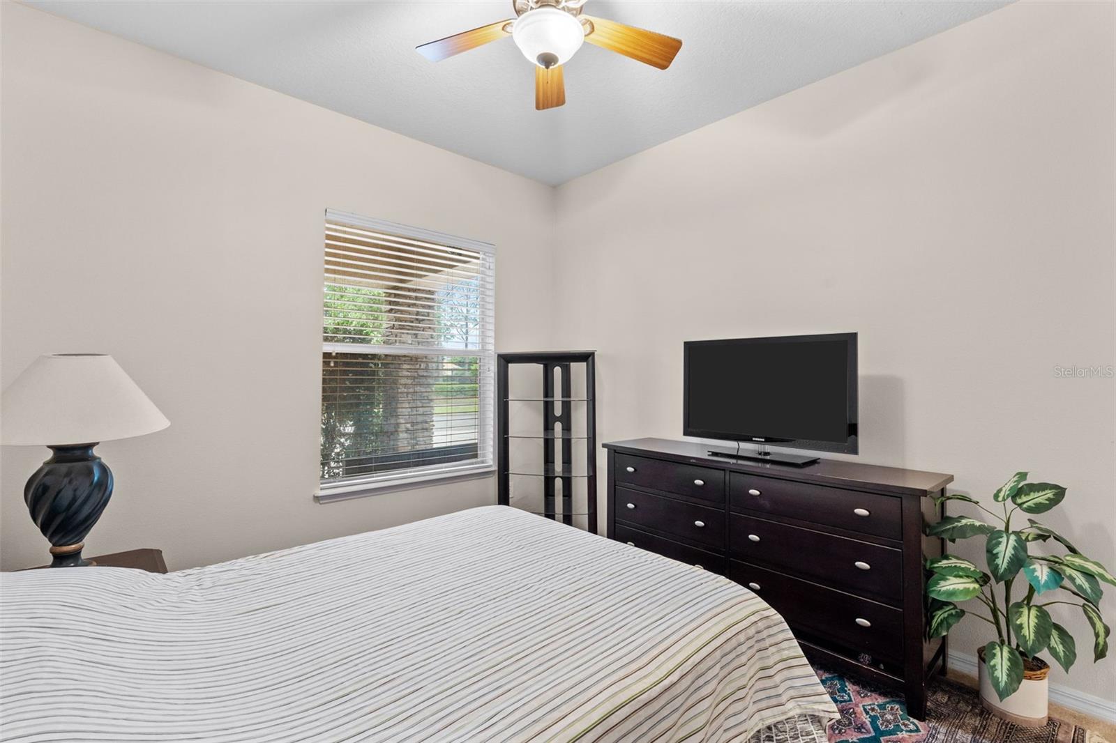 8434 WESTERLAND DR, LAND O LAKES, FL, 34637