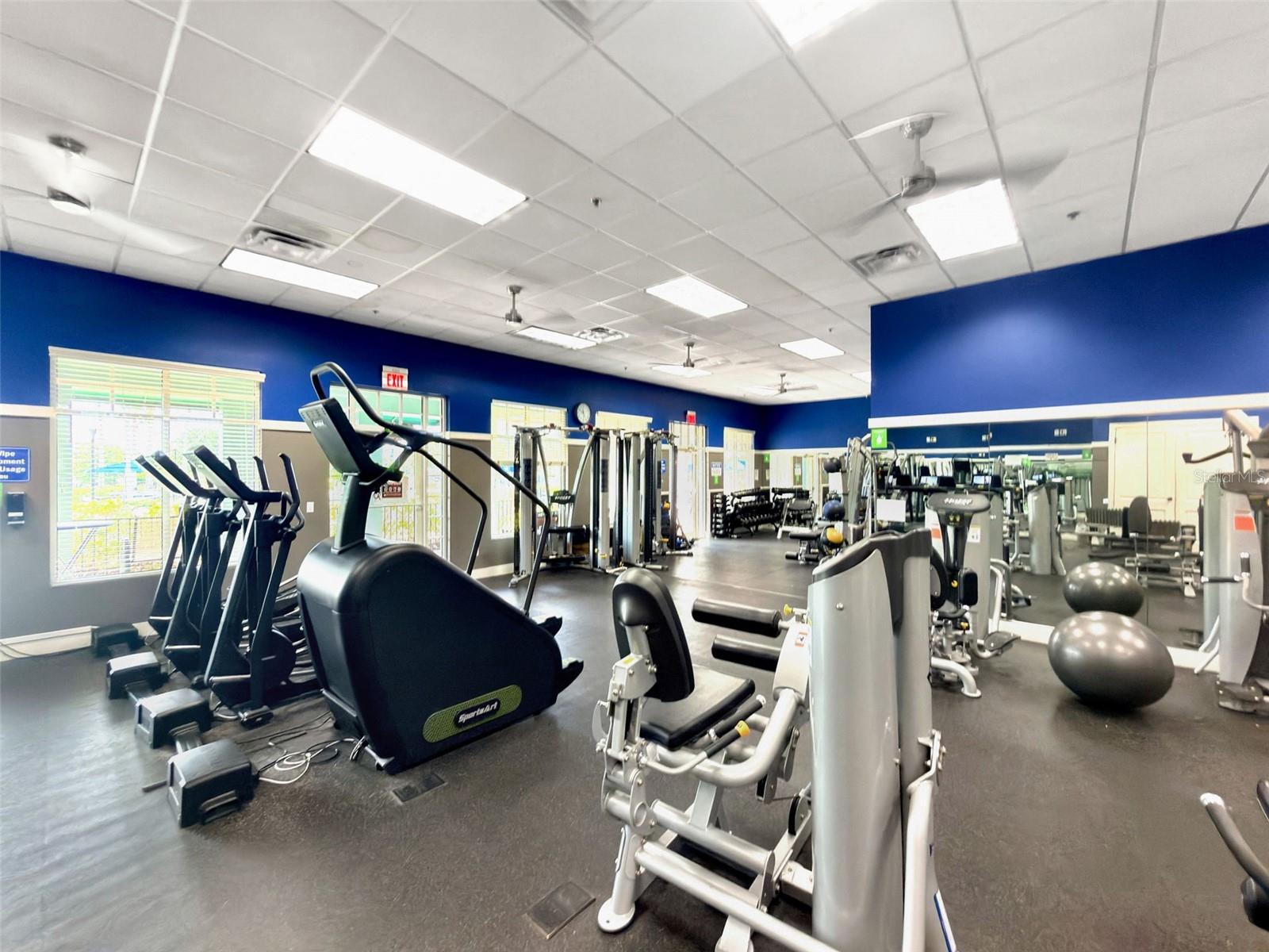 8434 WESTERLAND DR, LAND O LAKES, FL, 34637
