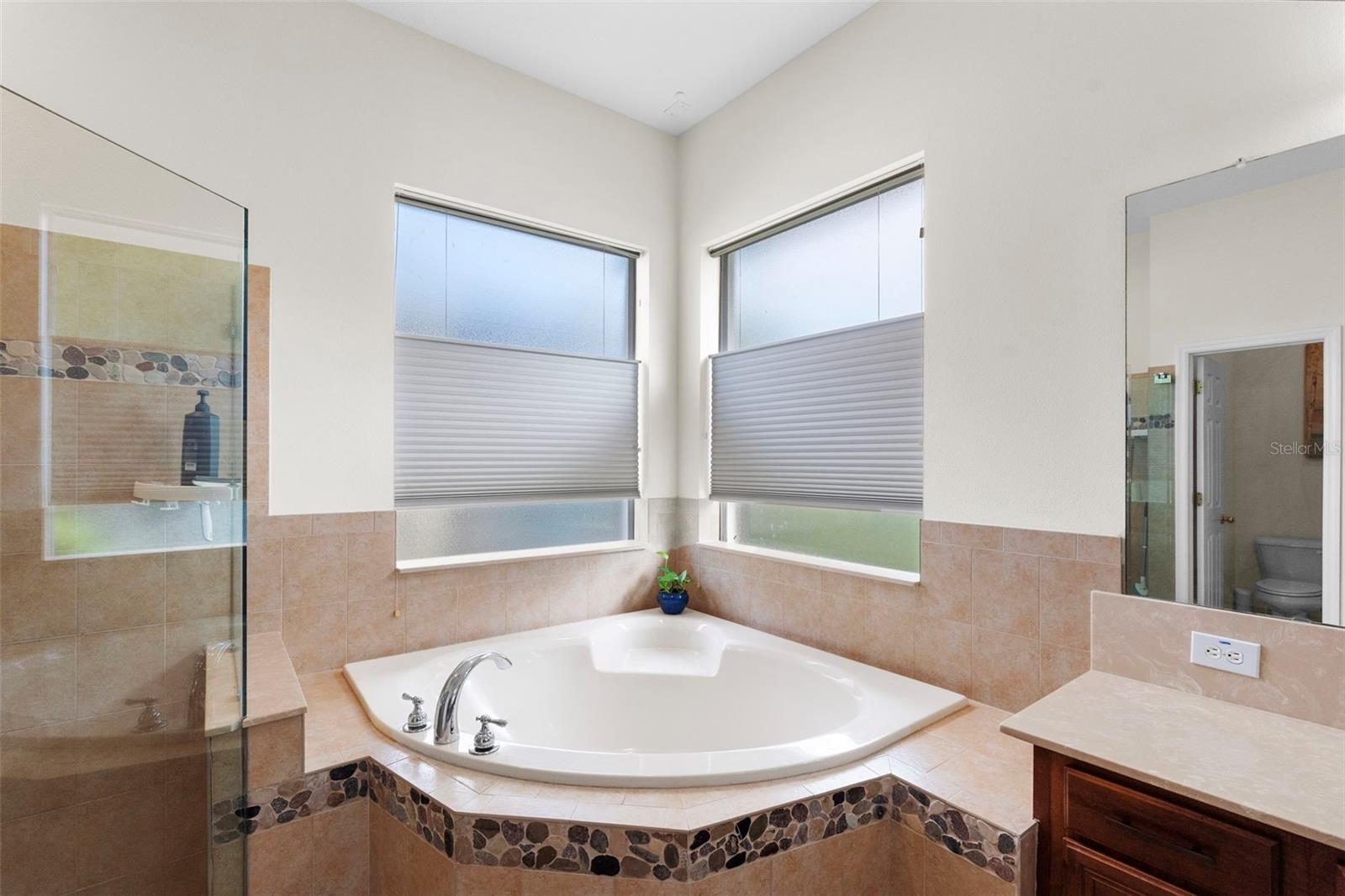 8434 WESTERLAND DR, LAND O LAKES, FL, 34637