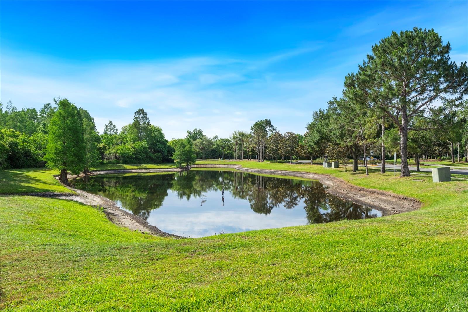 8434 WESTERLAND DR, LAND O LAKES, FL, 34637