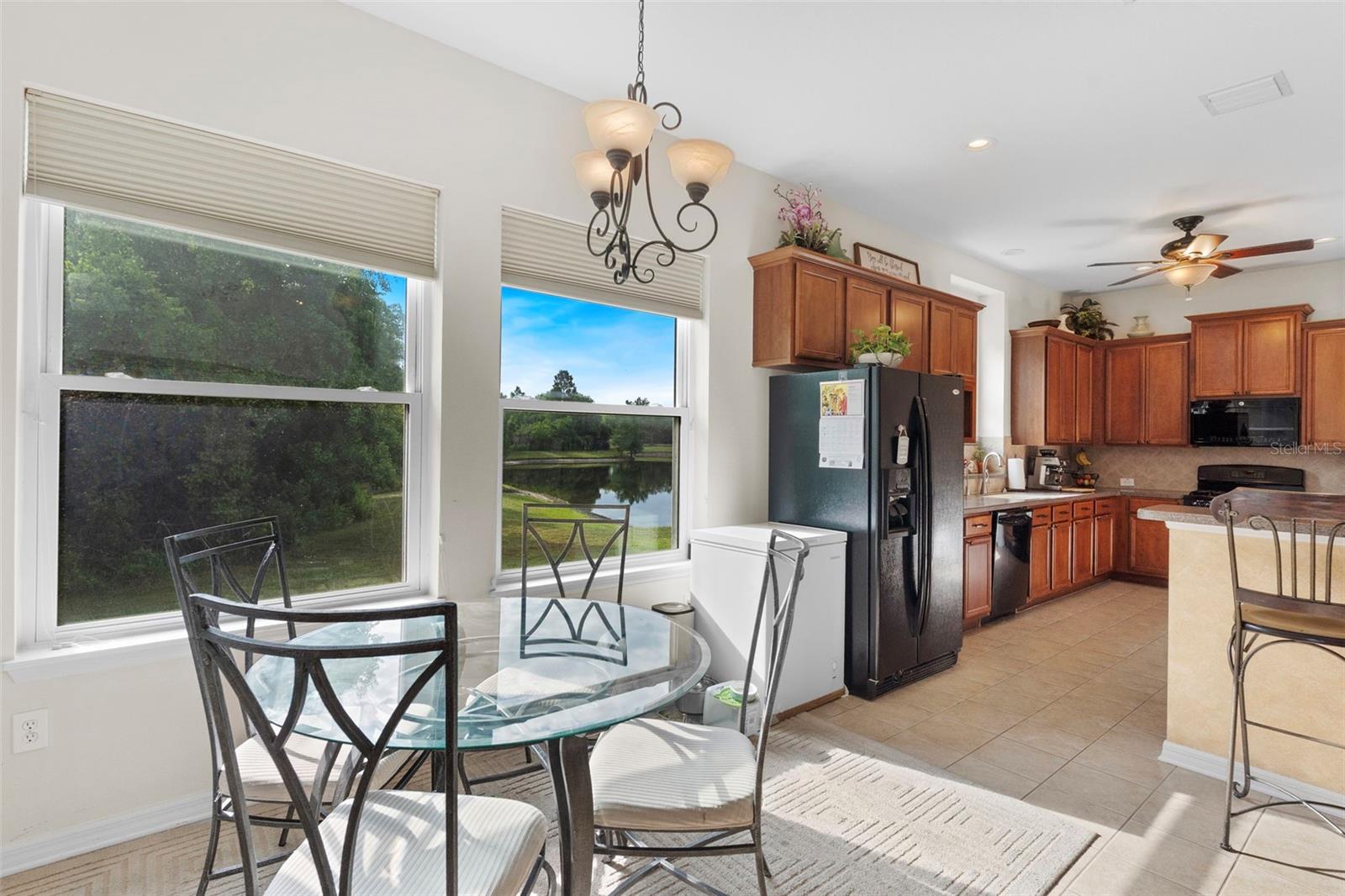 8434 WESTERLAND DR, LAND O LAKES, FL, 34637