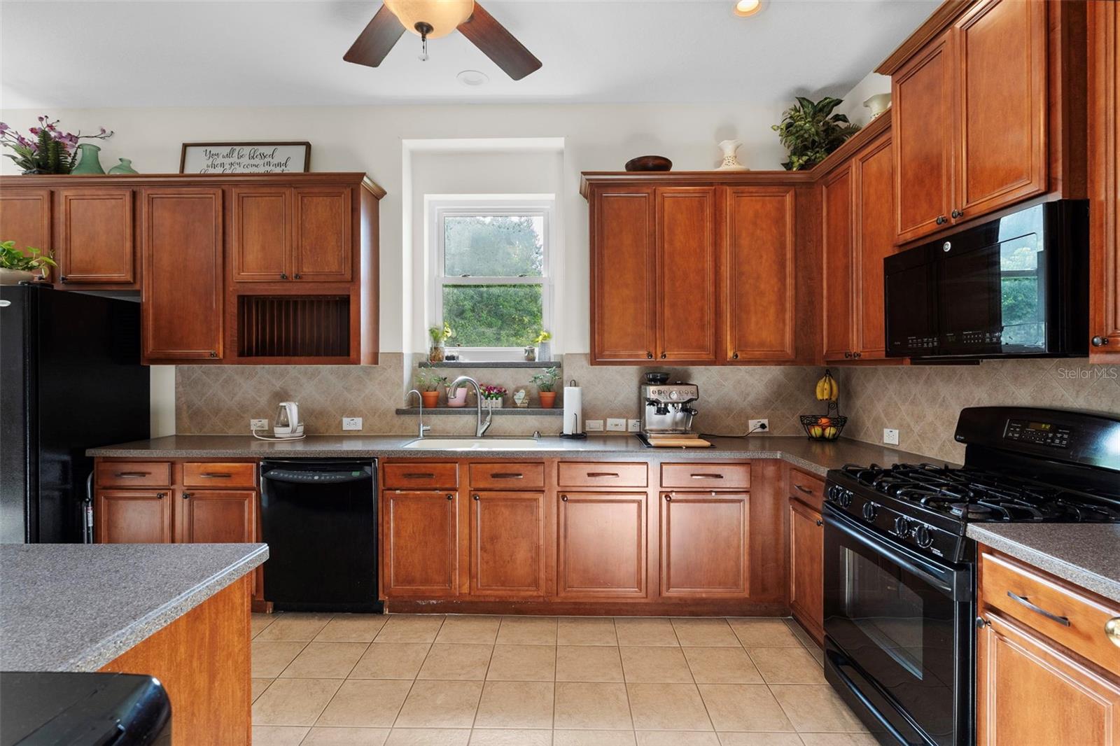 8434 WESTERLAND DR, LAND O LAKES, FL, 34637