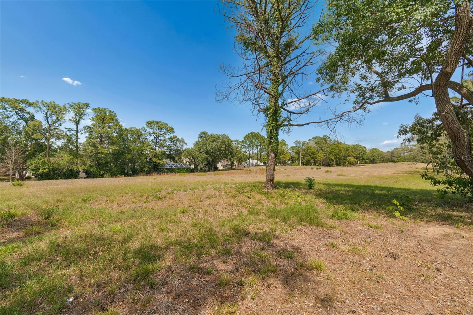 10491 CASA GRANDE CIR, SPRING HILL, FL, 34608