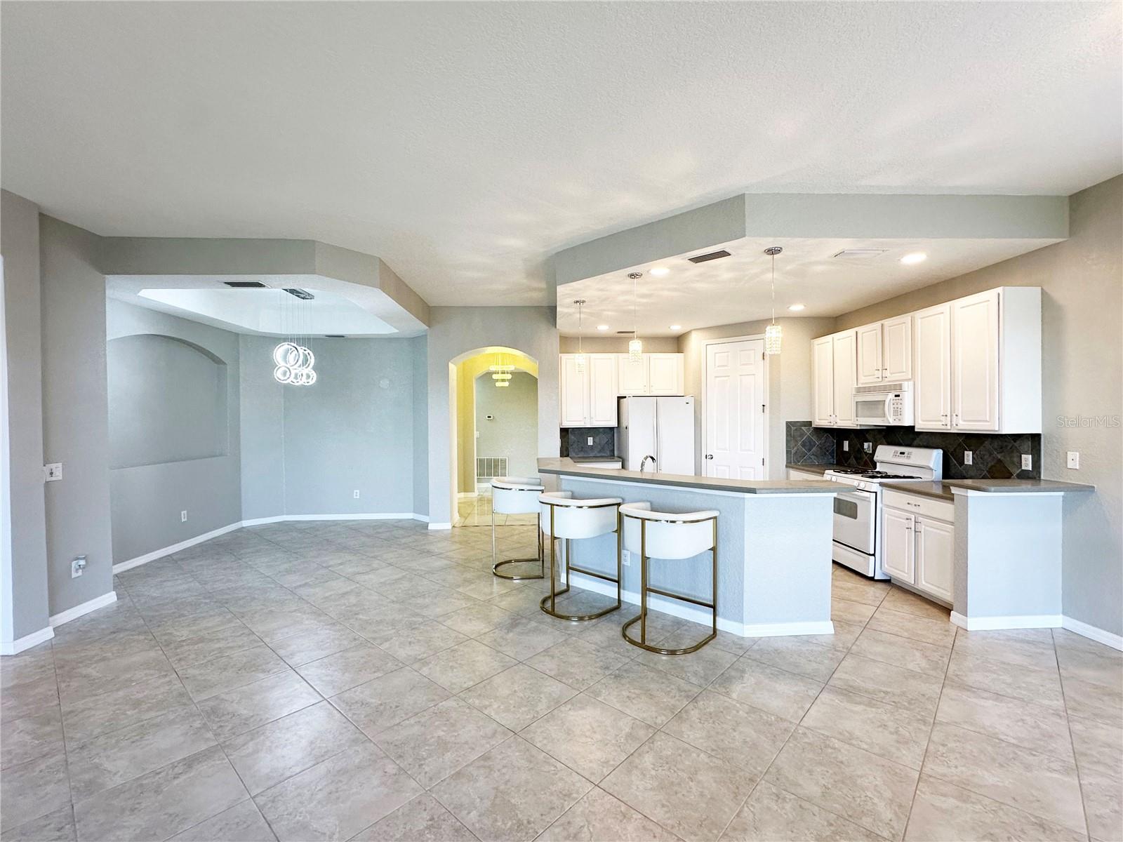 1326 EMERALD DUNES DR #NA, SUN CITY CENTER, FL, 33573