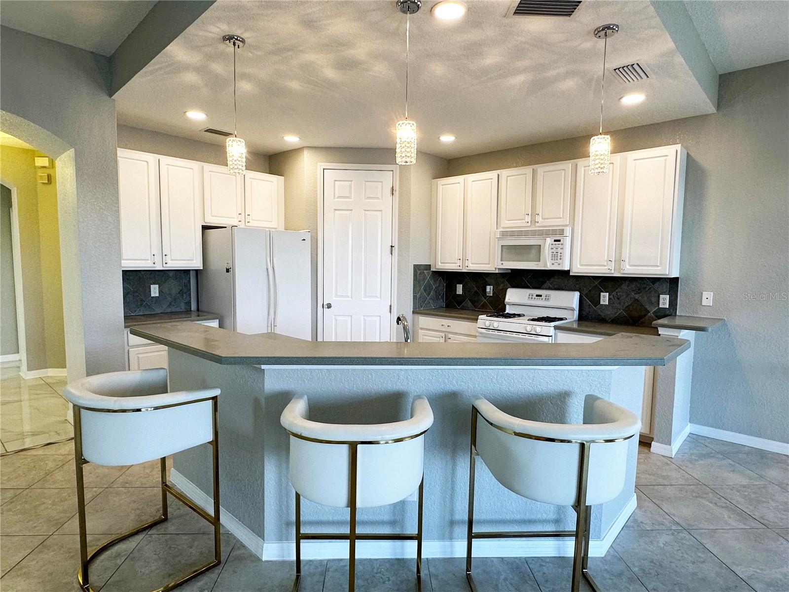 1326 EMERALD DUNES DR #NA, SUN CITY CENTER, FL, 33573