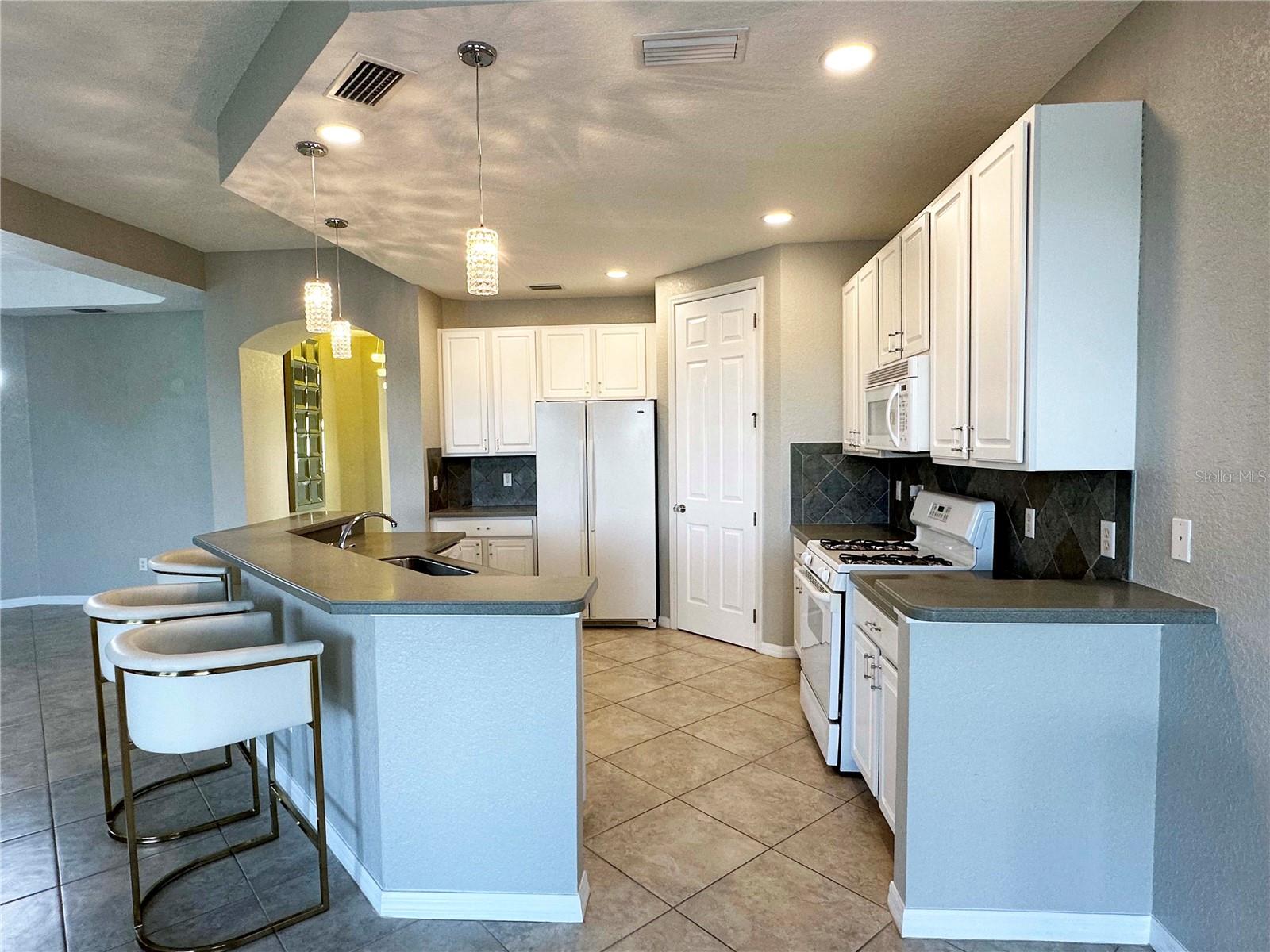 1326 EMERALD DUNES DR #NA, SUN CITY CENTER, FL, 33573