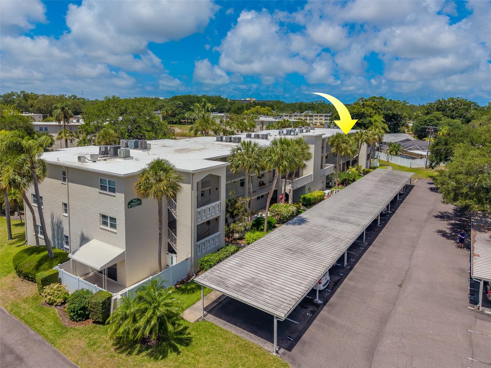 946 VIRGINIA ST #107, DUNEDIN, FL, 34698
