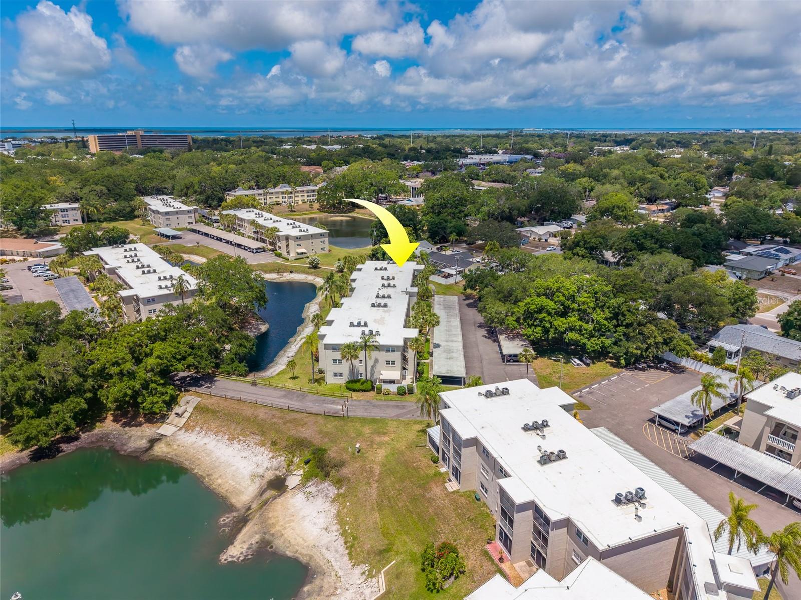 946 VIRGINIA ST #107, DUNEDIN, FL, 34698