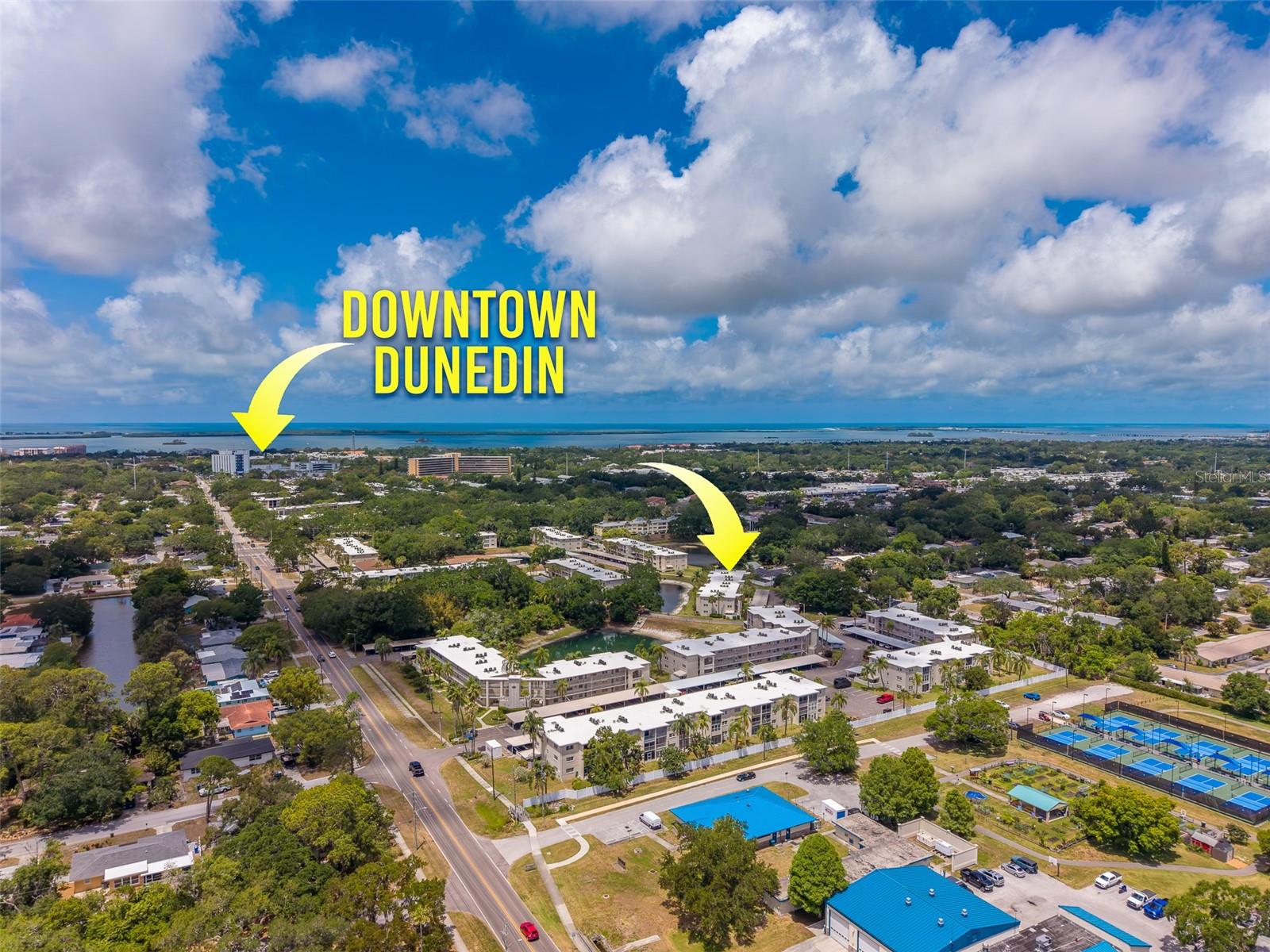 946 VIRGINIA ST #107, DUNEDIN, FL, 34698