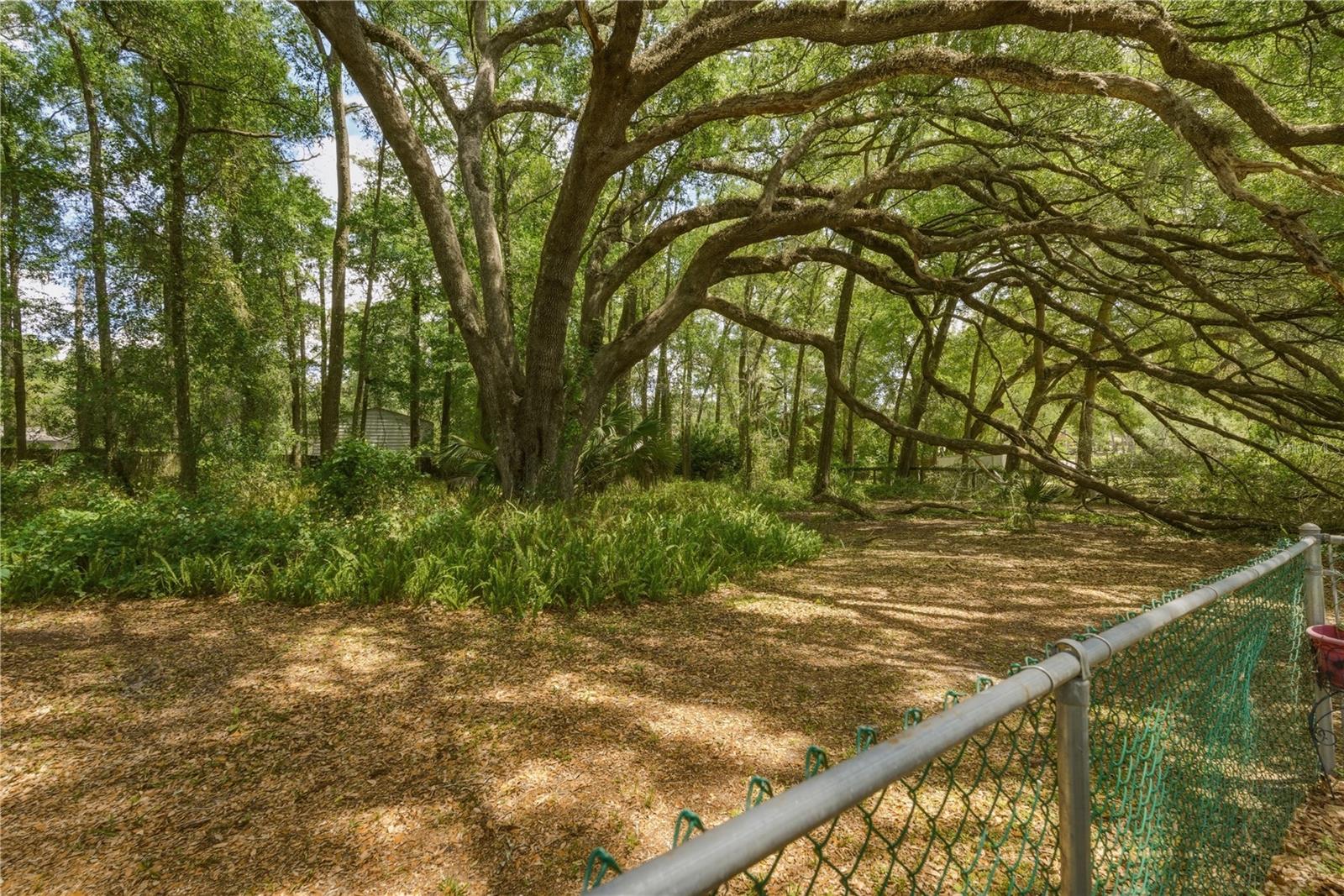 26 COUNT FLEET DR, OCALA, FL, 34482