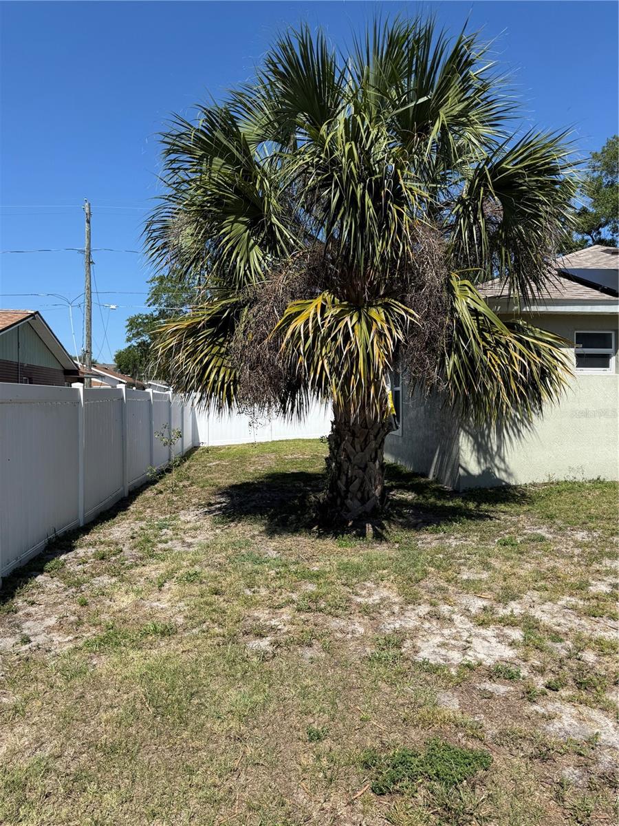 313 OAK ST, AUBURNDALE, FL, 33823