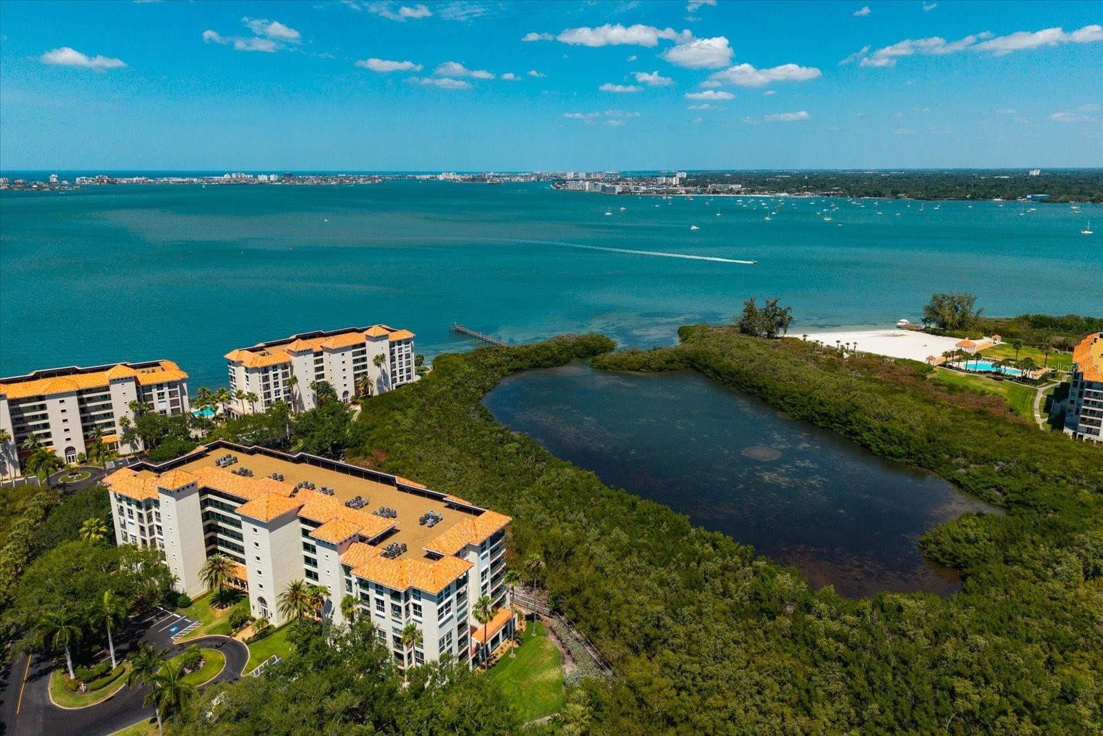 4801 OSPREY DR S #207, ST PETERSBURG, FL, 33711