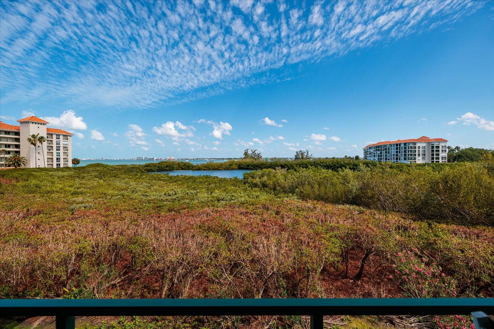 4801 OSPREY DR S #207, ST PETERSBURG, FL, 33711