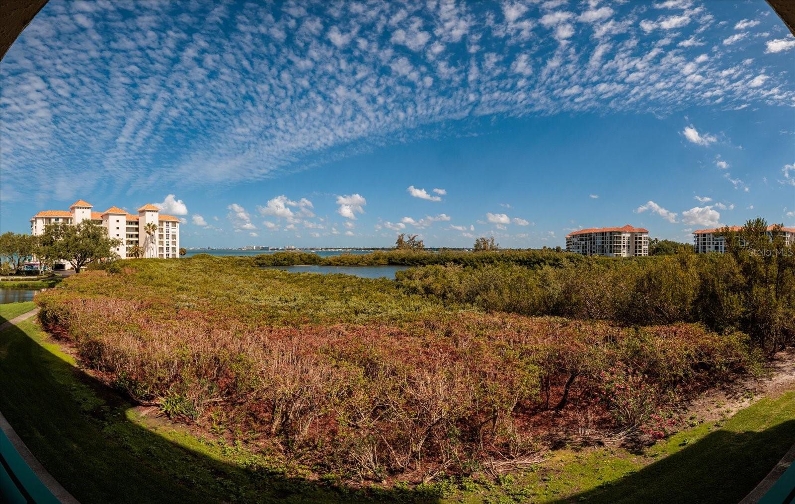 4801 OSPREY DR S #207, ST PETERSBURG, FL, 33711