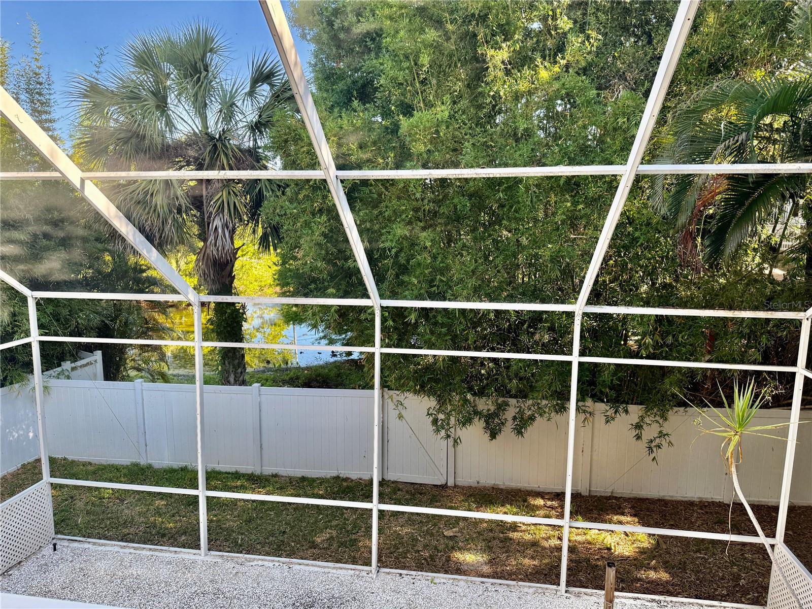 501 PALM AVE, PALM HARBOR, FL, 34683
