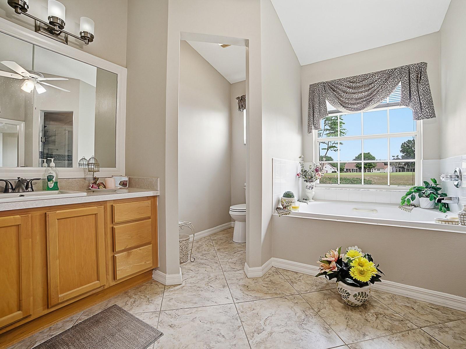 25069 RIVERWALK DR, LEESBURG, FL, 34748